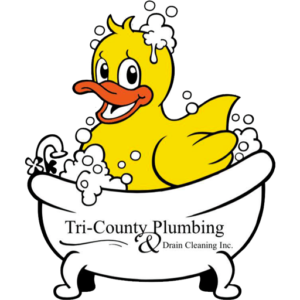 Tricounty plumbing and drain favicon ducky